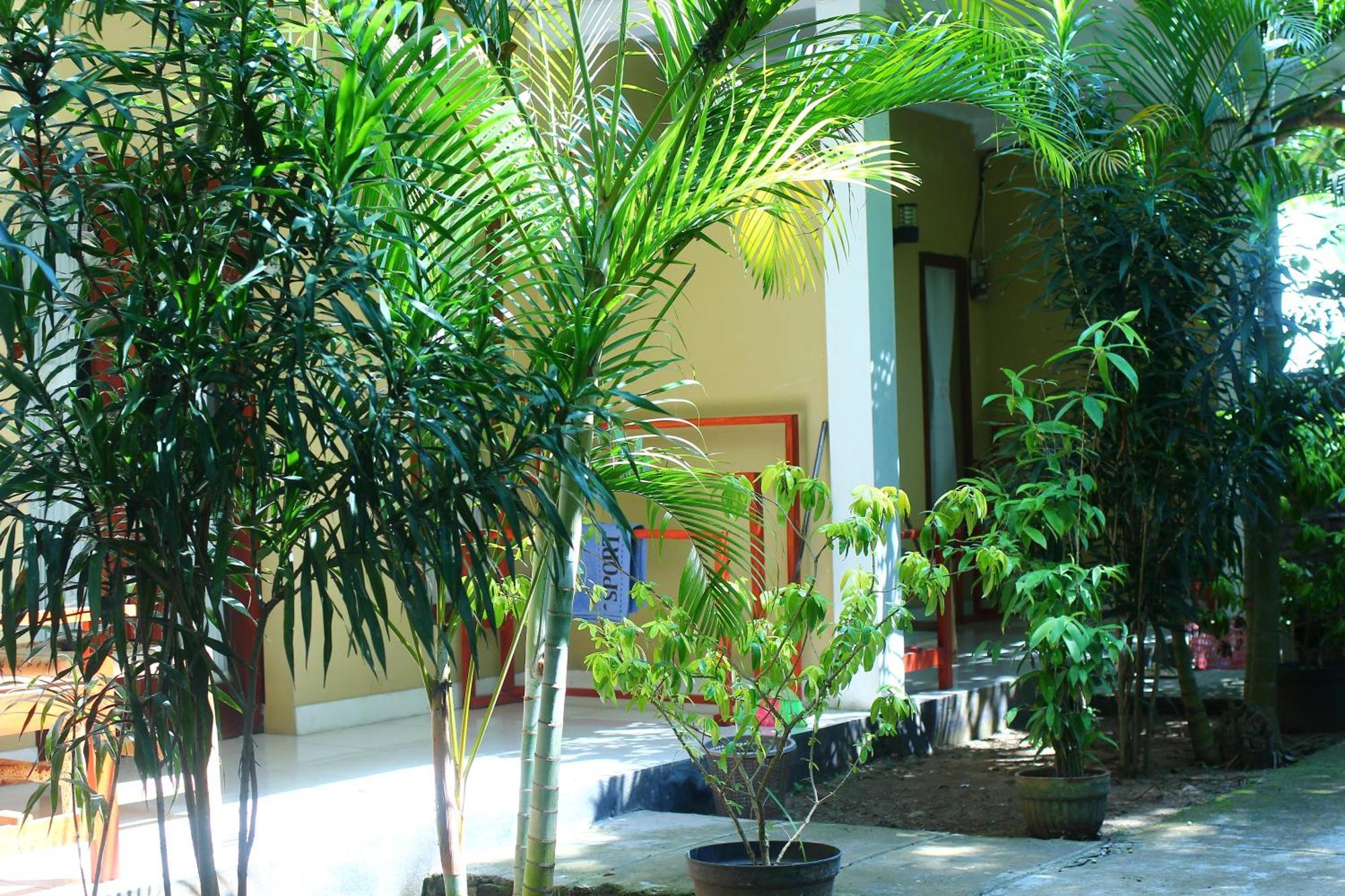 Three V Homestay Kuta  Exterior foto