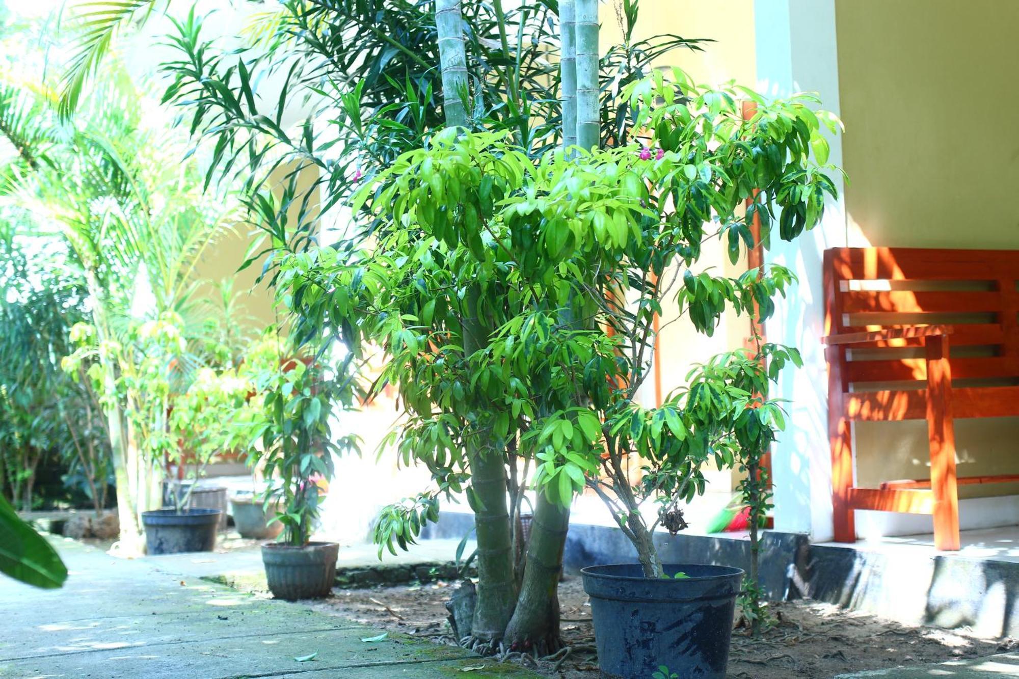 Three V Homestay Kuta  Exterior foto