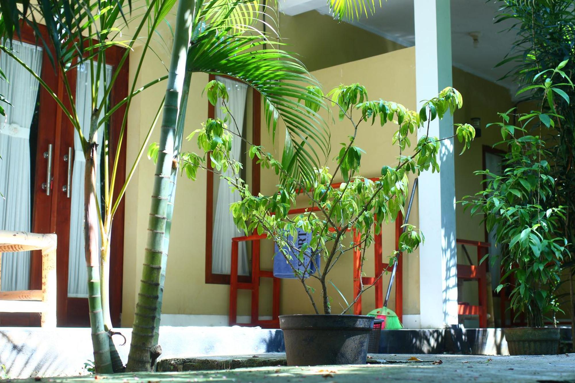 Three V Homestay Kuta  Exterior foto