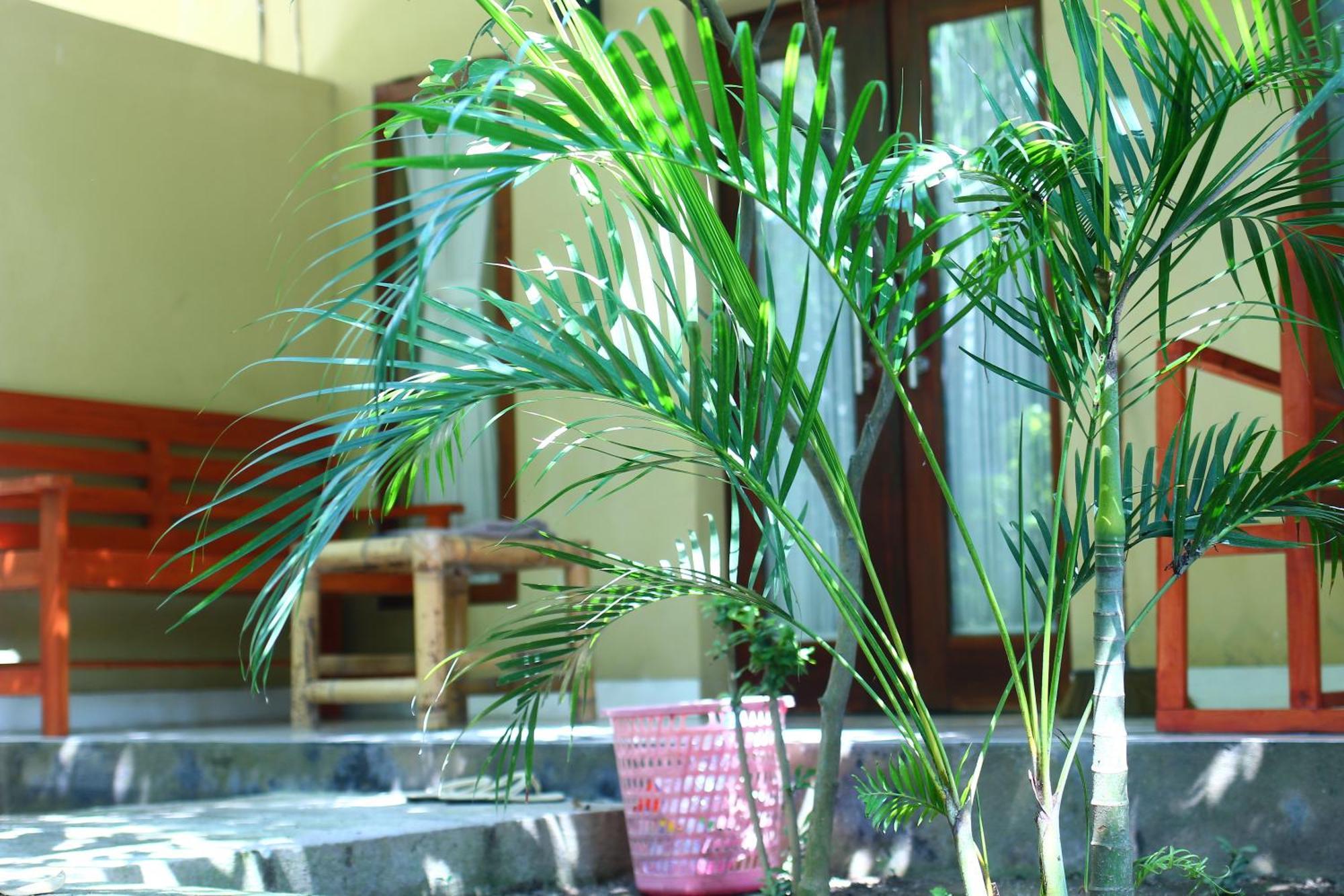Three V Homestay Kuta  Exterior foto